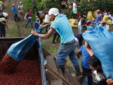 咖啡贷款|为什么平价融资对咖啡生产商如此重要？
