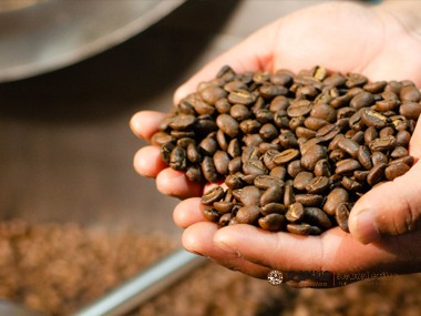 咖啡供应链|在原产地烘焙的咖啡供应指南