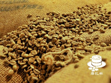 如何降低生咖啡豆储存对环境的影响