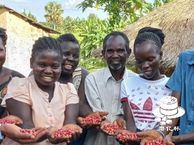 南苏丹咖啡产业指南